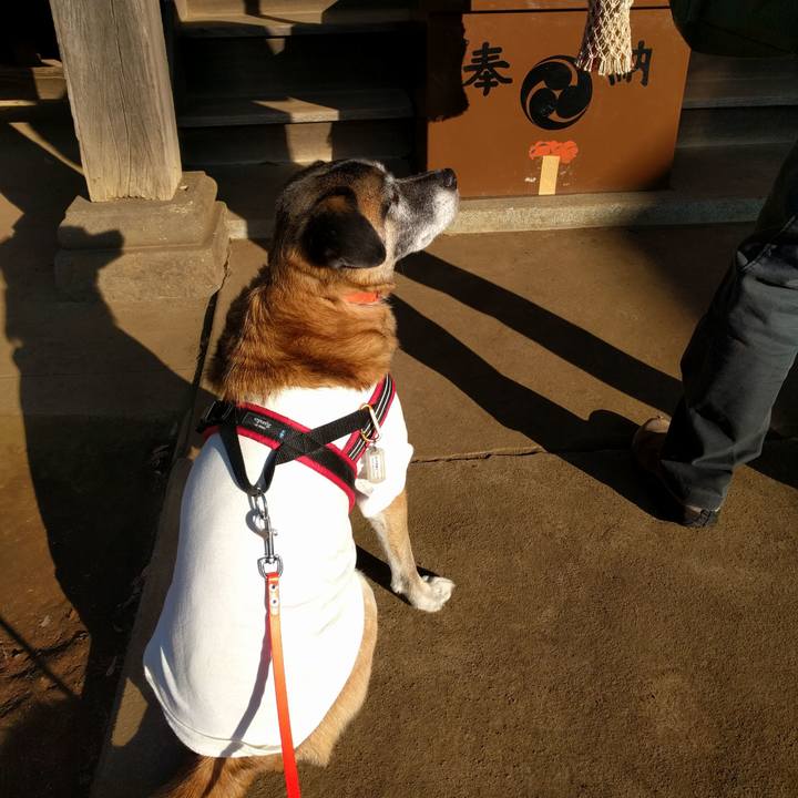 1f71acce d038 4e6a be4d 4a156a269ea3