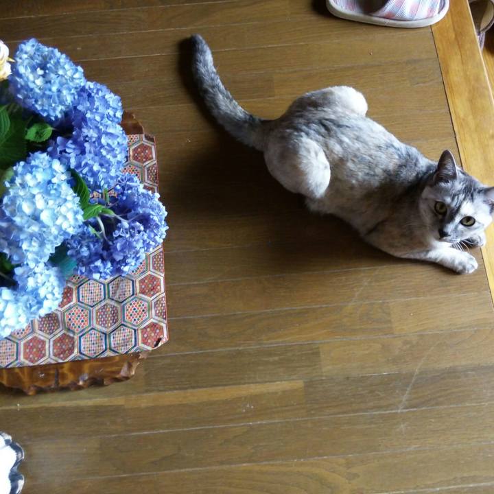 1f71b25d e0aa 44a5 b569 2b59284136b2