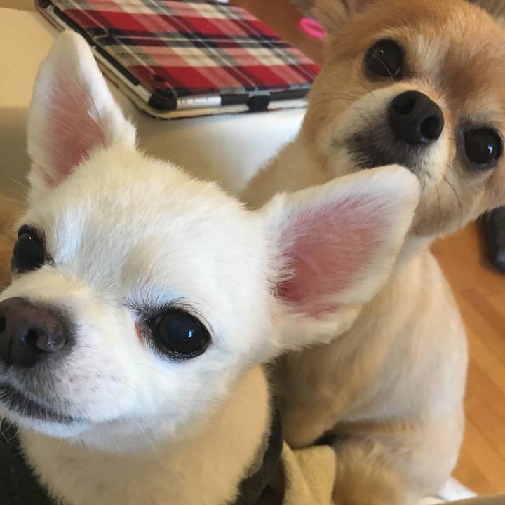 1f727d27 255f 40ec 884e 78de6514d198