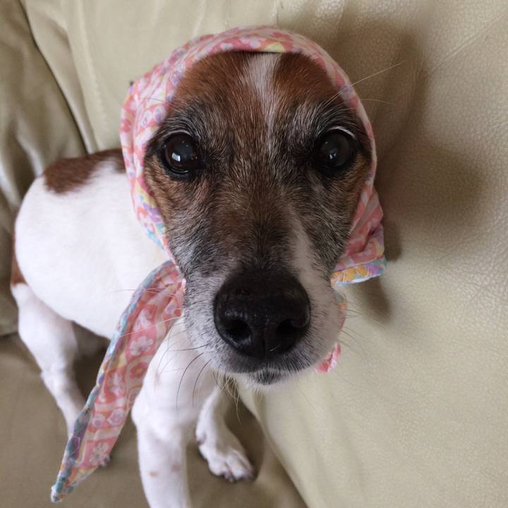 1f728dbf 285f 47b6 a5b9 d5a015004ee0