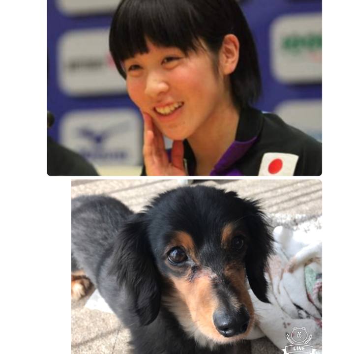 1f72ea0a 9386 4a74 b8dd 6f6f5783de61