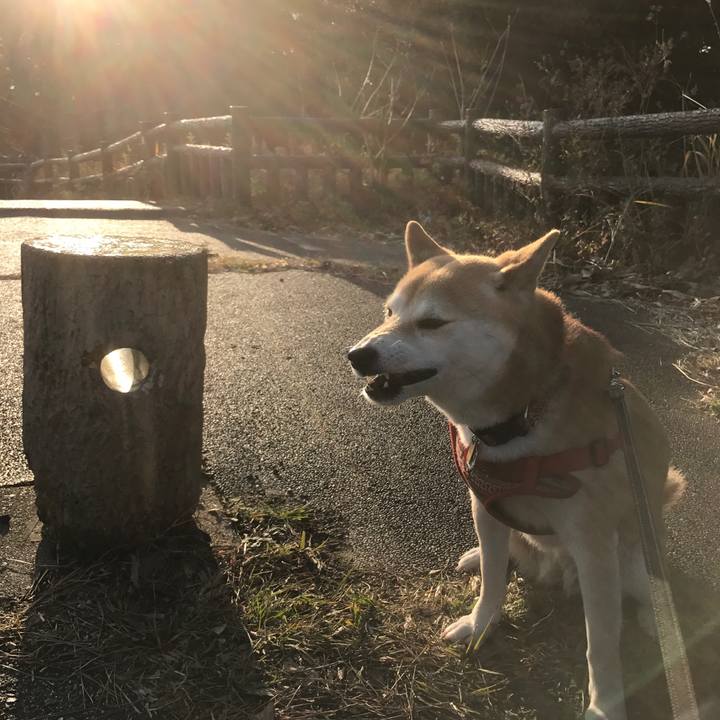 1f73c903 7739 4ed1 a356 e4405a4e250d