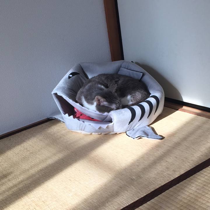 1f7435bf 4008 4048 9870 4019e06019b0