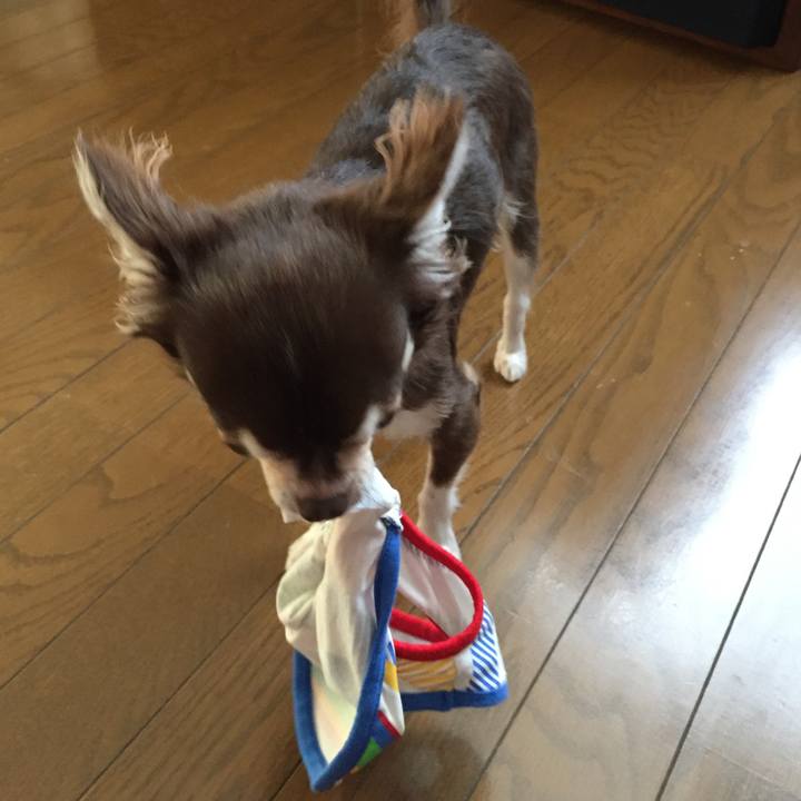 1f74542c 9b83 4212 a31d 628a10951f24