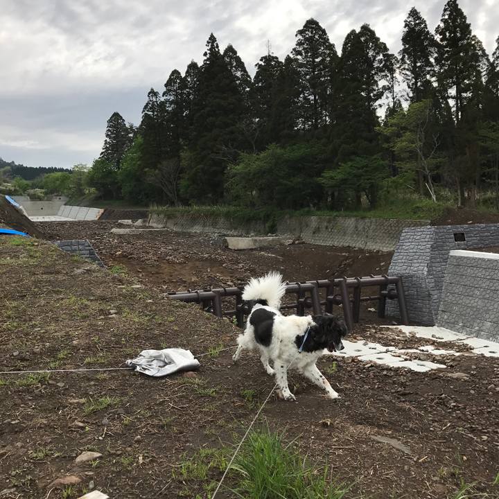 1f74d10d e911 4a2e a748 9a51bd8fbb41