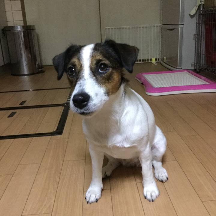 1f74e161 bcaa 42aa 8cd9 30ac6c7ad229