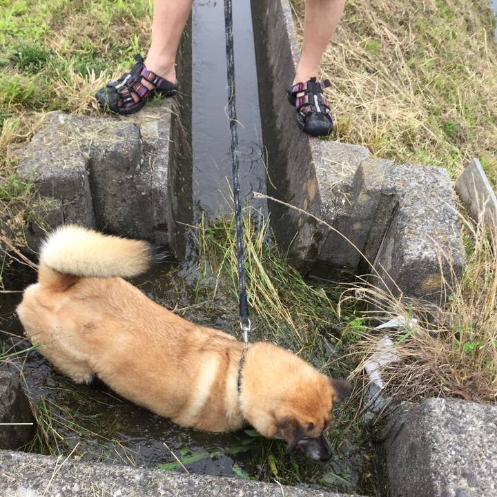 1f74ff06 7ab9 4a09 853a 466253cac41d