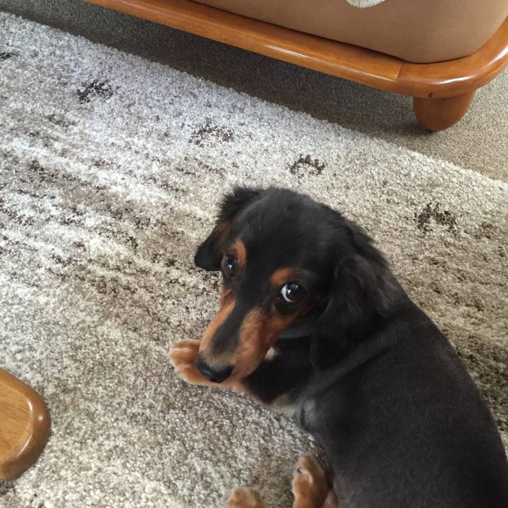 1f75153f 2be3 4910 b574 9bce32da374d