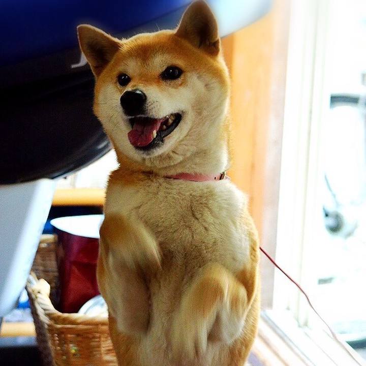 1f7565c3 ba9b 4016 884e 315fcf949939