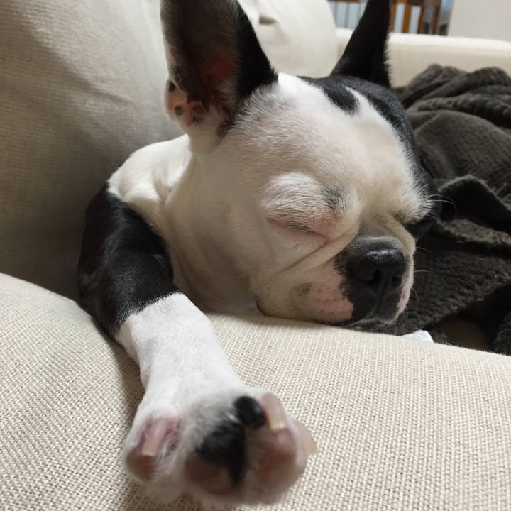 1f75813d 6dbd 4b6f a0e4 7dbadc4e70c1