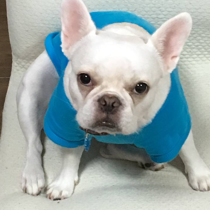 1f764e97 0d19 4aac b69f 6e308c04c668