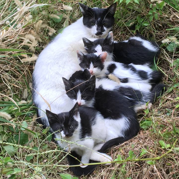 1f76514a c9ba 405f 824b 3a9c368f6e7d