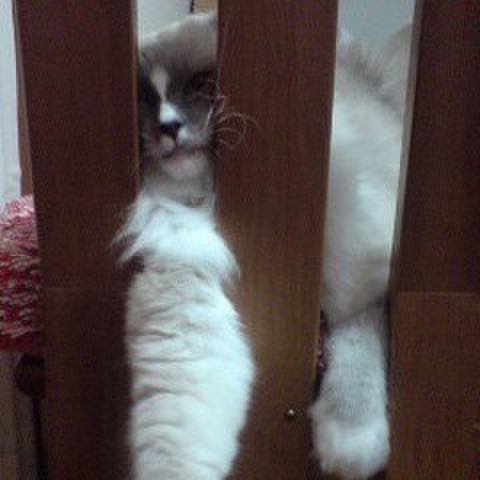 1f773e77 18ea 4928 b6a6 74e5f86b6249