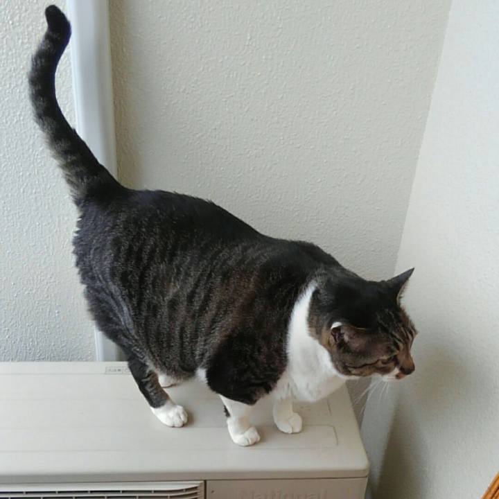 1f77cf33 edc0 48f4 8326 c690303657ac