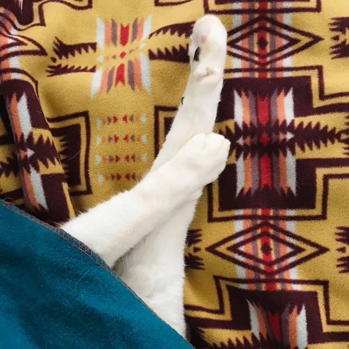 1f77ee1d 86b5 4017 8411 ff4a31be9677