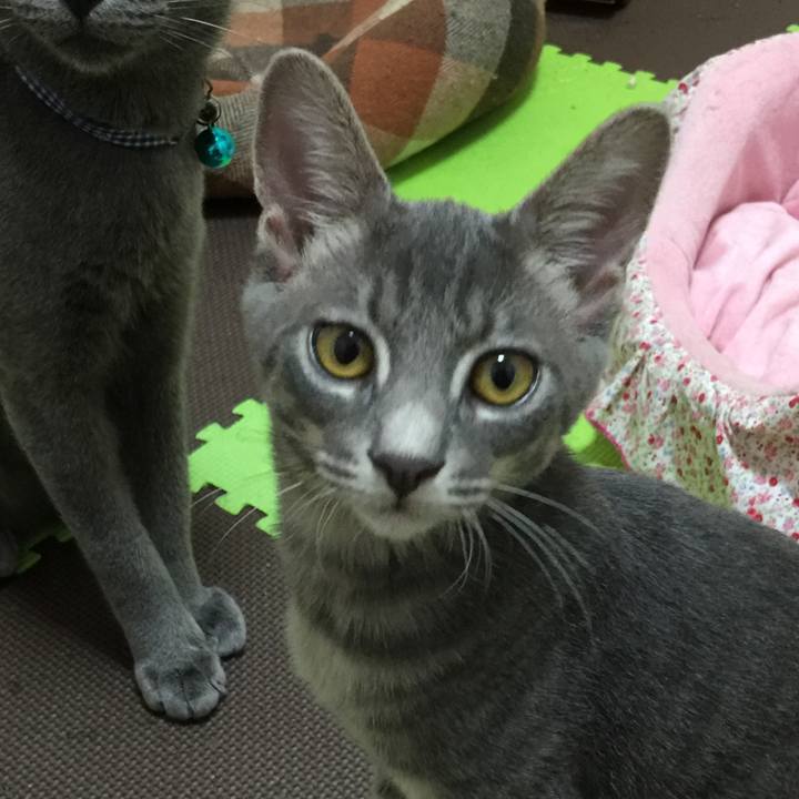 1f78eceb a786 4092 bfeb 711813bd86c1