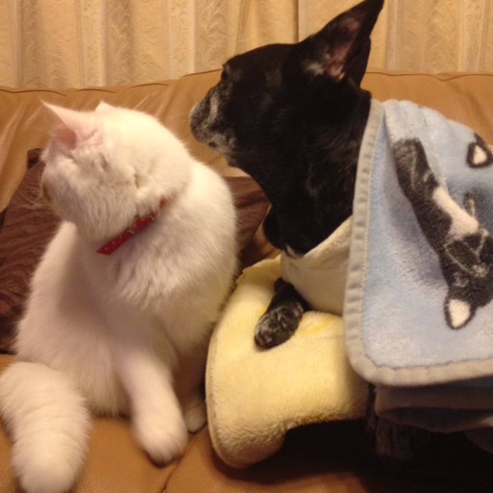 1f78f6ea db18 4376 86cb 2ba35508c203