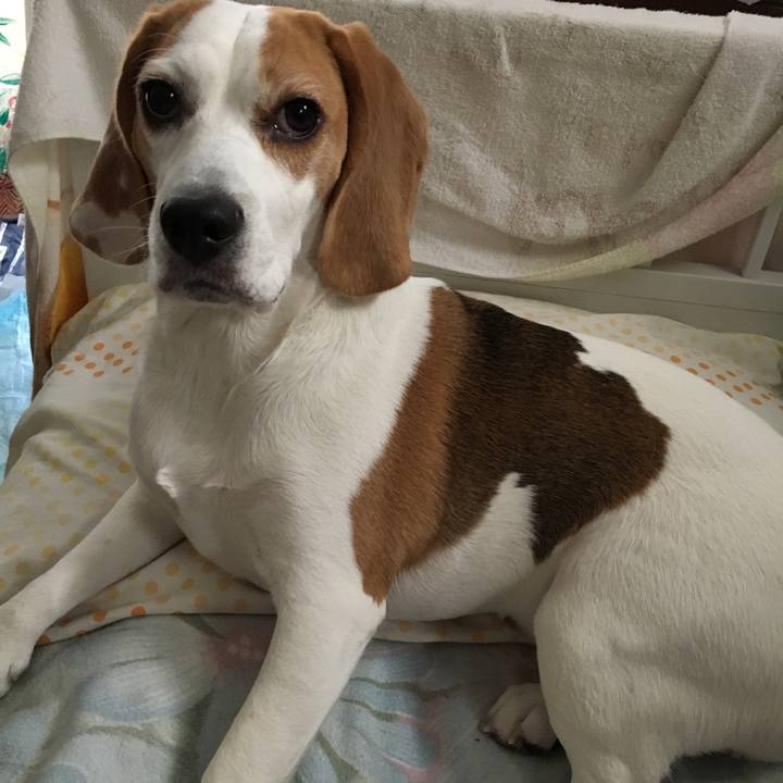 1f7989d3 8cc1 4ad0 ab13 fbb6de0bad63