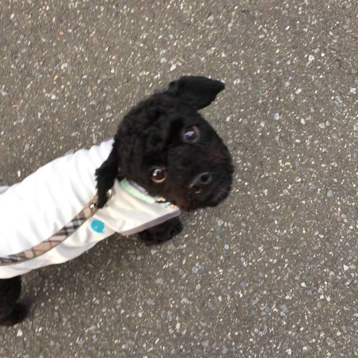 1f79c6bb 8aa5 4ede add8 f76926c7b611