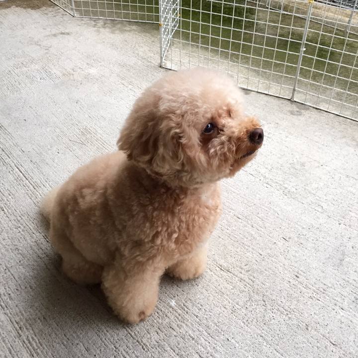 1f79cf57 440c 4fc2 a2ea 0d39d93ecee2