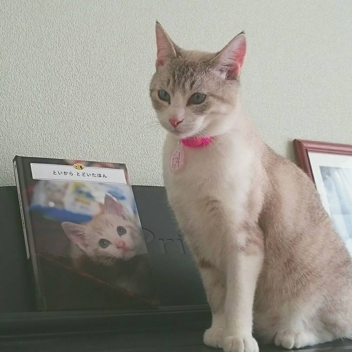 1f79d72f b5c2 4a34 ab37 f767f7882bb4