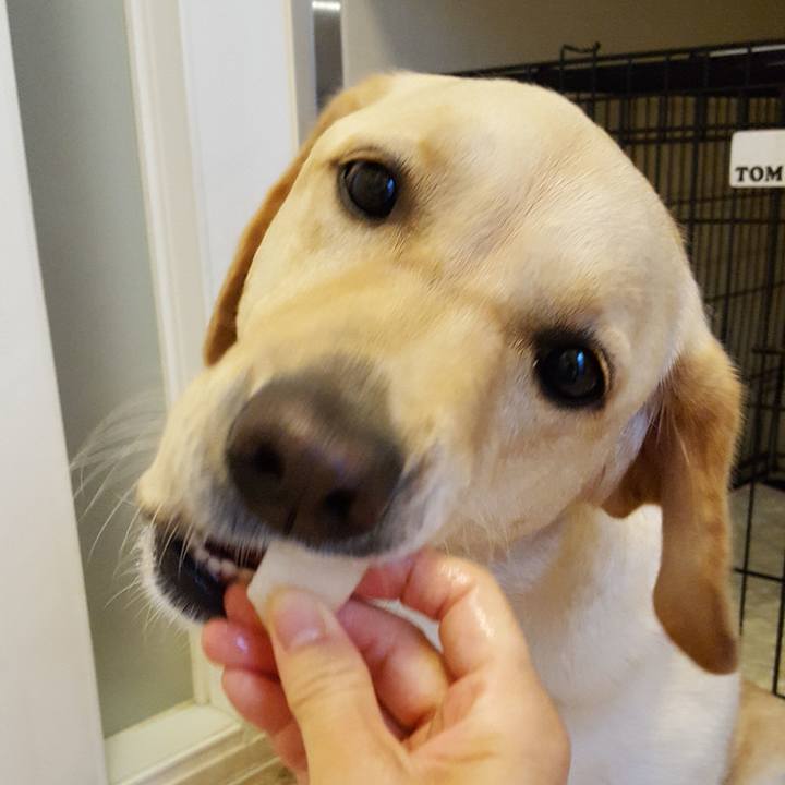 1f7a8db3 aa81 4813 897e ff5f29beb4be