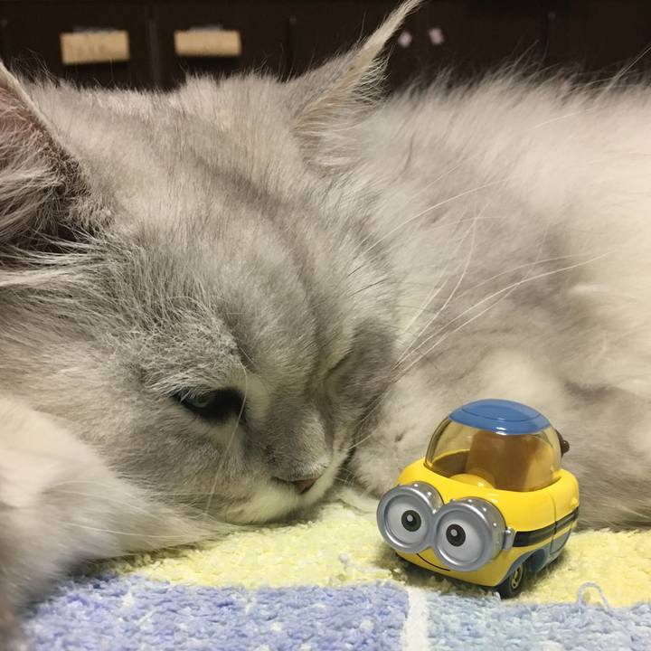 1f7aac61 b8ac 4d3e b0be d24e307184ca