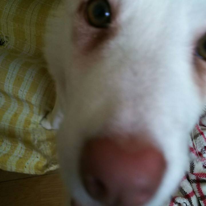 1f7ac0bf 6727 47ef 8aa7 b00e5501fc85