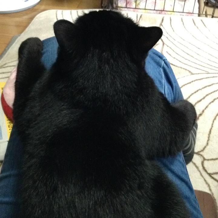 1f7ae754 09a9 4e9c a261 6c90c400aa4a