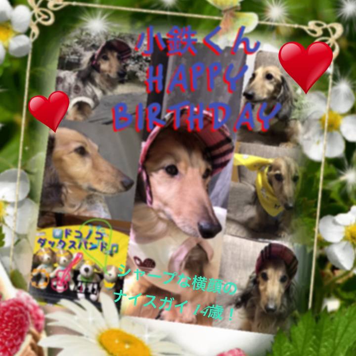 1f7c70da 8509 4879 a230 fd08ec8ac649