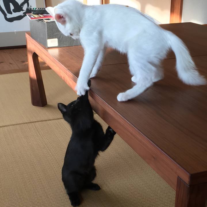 1f7cdba5 9aaf 4c74 a615 67781e614adc