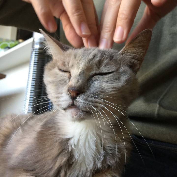 1f7d555e f551 41fb 87b7 85234582bcf1