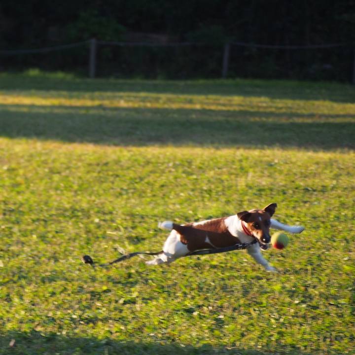 1f7d886c 602a 4dfc b651 3e415ca5916e