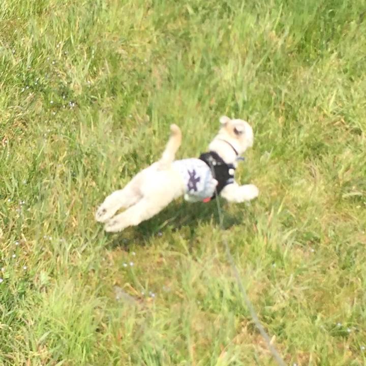 1f7dcf1e d083 4194 a475 31ffc2dc6840