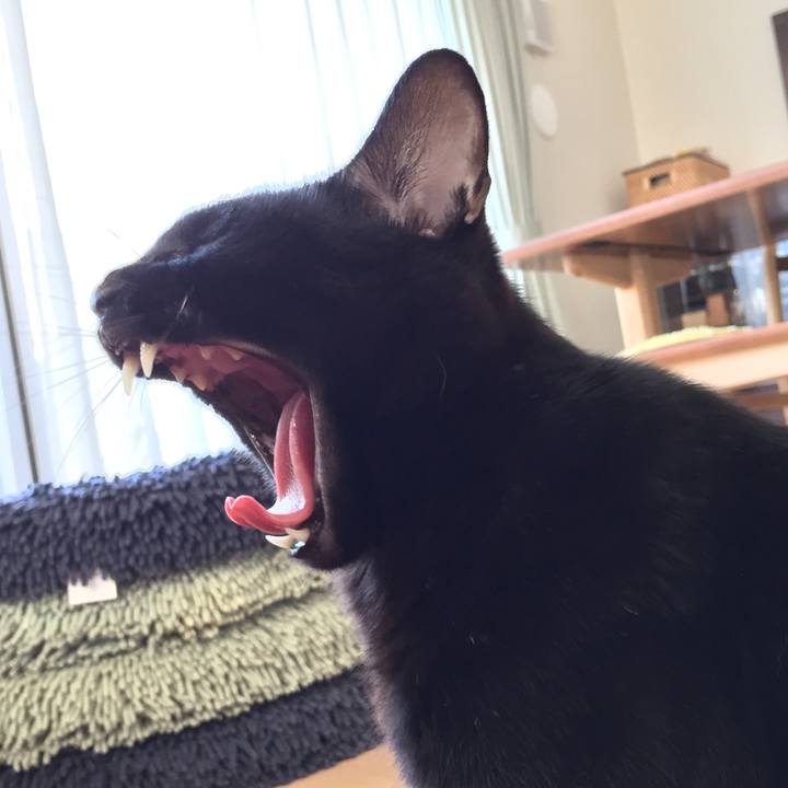 1f7df35c 5762 4a07 aeef 282b52e035e3