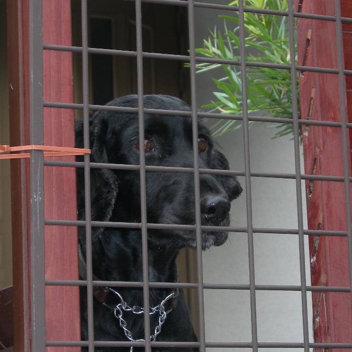 1f7dfa57 9b32 4564 b18f eaea6b33974e