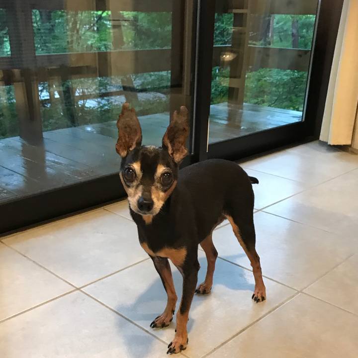 1f7e5bd5 56b5 4b92 a830 f1cf943f8c43