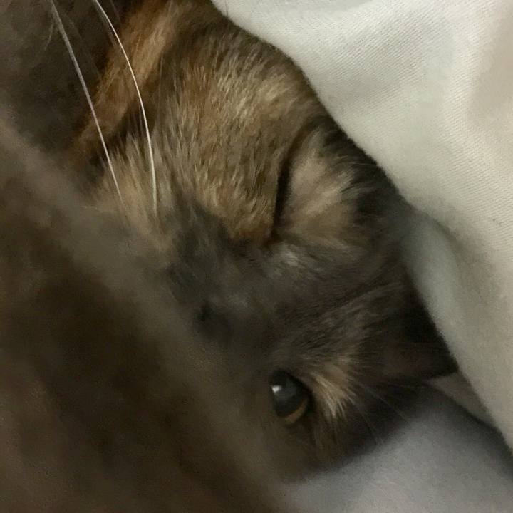 1f7eb754 6eae 4c8b b1d3 255c7ff1e77d