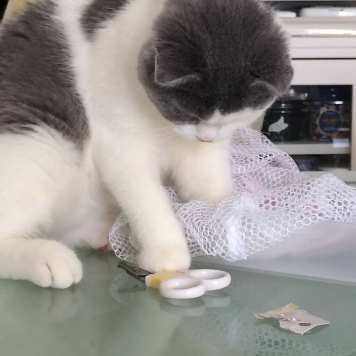 1f7f4e00 6ea0 44a9 9c84 fe607ab89811