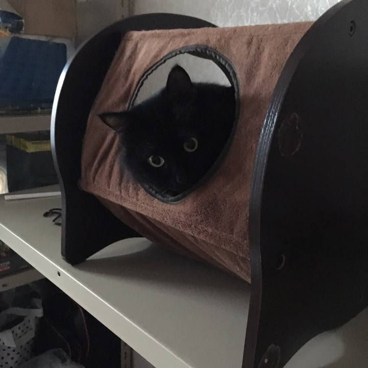 1f7f6346 f14d 4658 ab3f 18992fc622e8