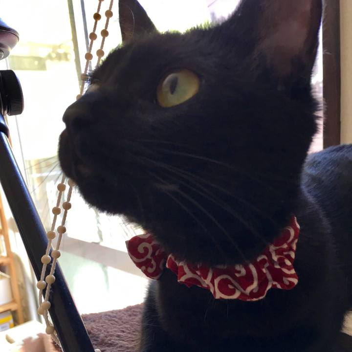 1f7ff287 fe09 42e2 8651 1e2b7426b1a7