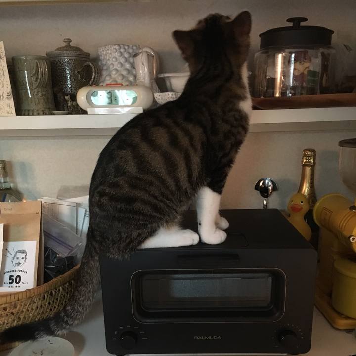 1f804836 cdaa 4e47 8686 0df30fc0c060