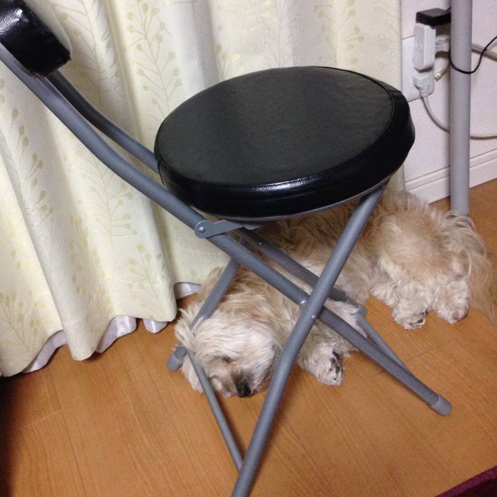 1f80ba31 a848 4002 ae32 75e6605d76c0