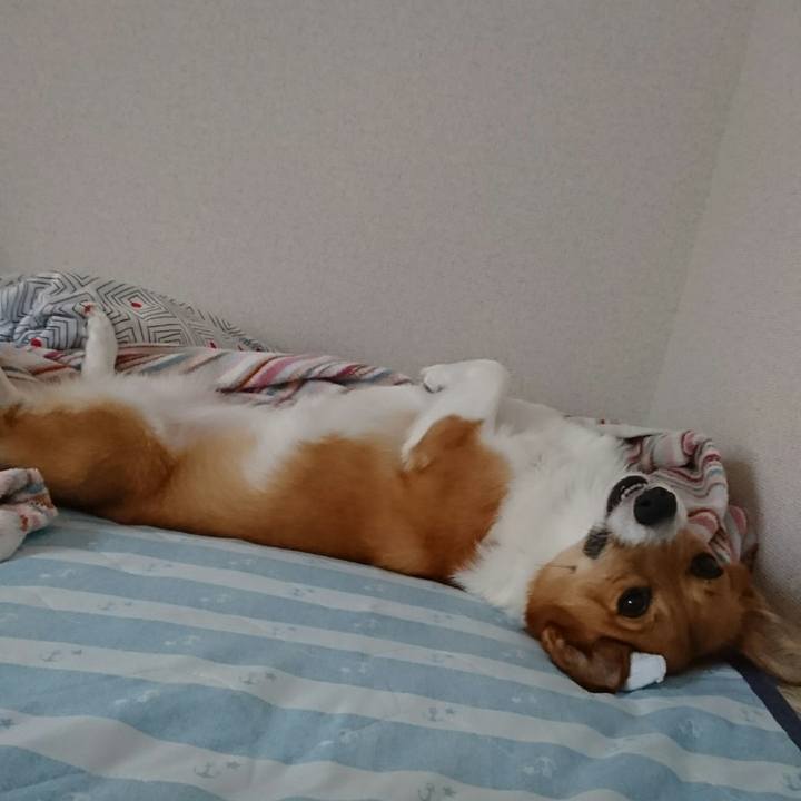 1f81cef7 b9c7 46aa 83d5 38346d9b3da4