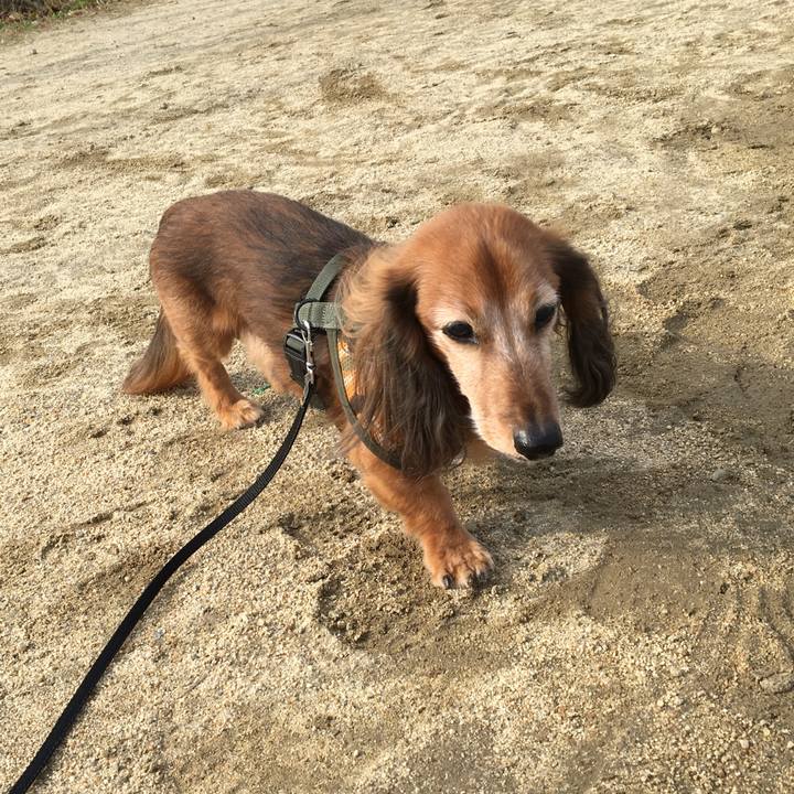 1f81ef94 30be 4baf a301 9134ccb8a74a