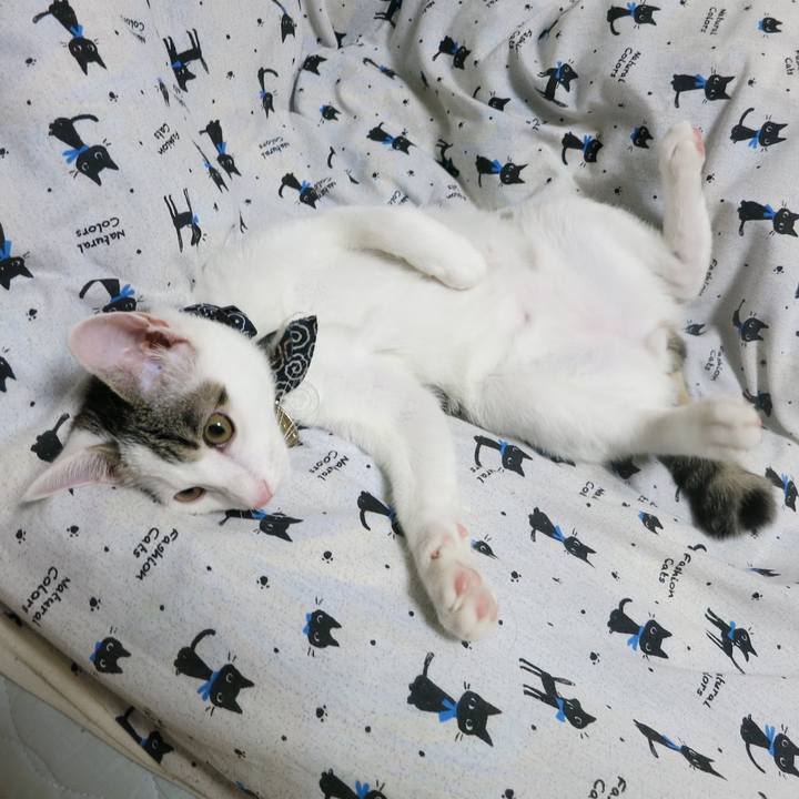 1f81f4f3 0d9e 43a3 b893 3acf4135acfd