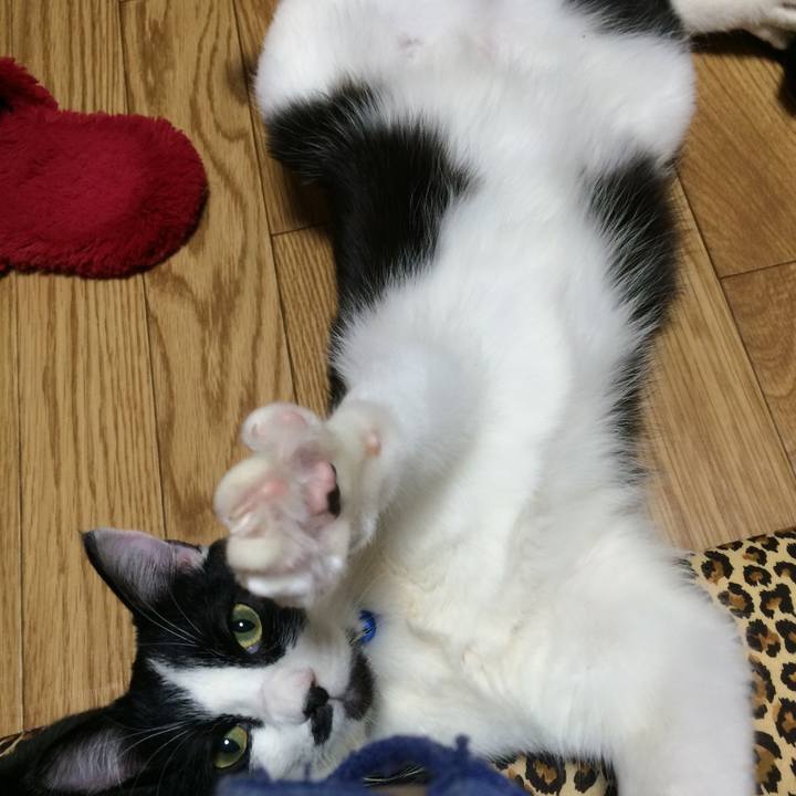 1f82a466 c3d2 473f 93fa dc32733a133b