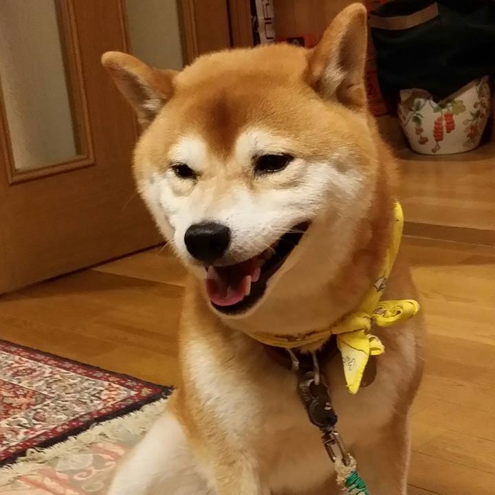 1f830c51 d4f9 404e 8abf 7afab1968c96