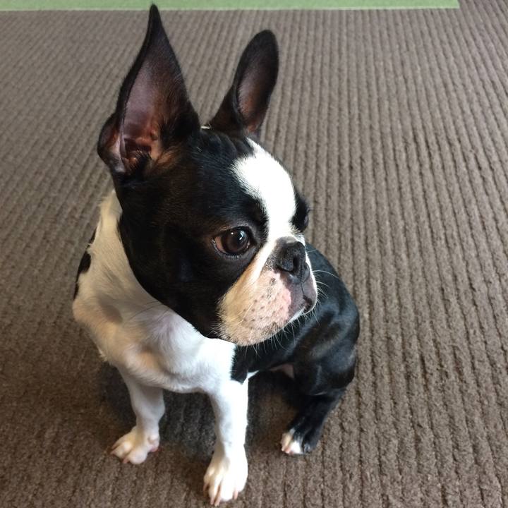 1f831e50 ab26 4fdd a58a c7f6b769ec05