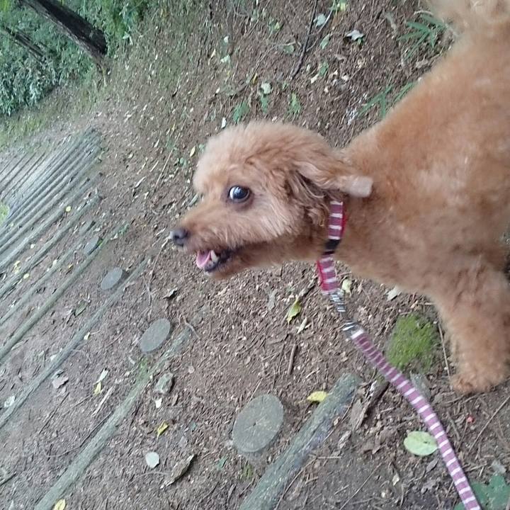 1f837a83 bab3 435e b4b6 a2765a34b038